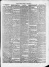 Isle of Thanet Gazette Saturday 06 February 1875 Page 3
