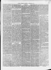 Isle of Thanet Gazette Saturday 27 February 1875 Page 5