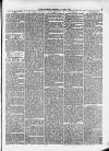 Isle of Thanet Gazette Saturday 17 April 1875 Page 3
