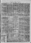 Isle of Thanet Gazette Saturday 27 January 1877 Page 5