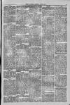 Isle of Thanet Gazette Saturday 30 June 1877 Page 3