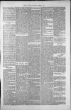 Isle of Thanet Gazette Saturday 08 February 1879 Page 5
