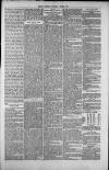 Isle of Thanet Gazette Saturday 01 March 1879 Page 5