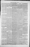 Isle of Thanet Gazette Saturday 12 April 1879 Page 5