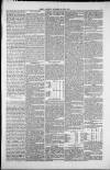 Isle of Thanet Gazette Saturday 26 April 1879 Page 5