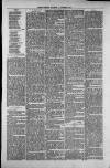 Isle of Thanet Gazette Saturday 01 November 1879 Page 3