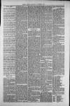 Isle of Thanet Gazette Saturday 15 November 1879 Page 5