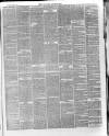 Devizes and Wilts Advertiser Thursday 02 September 1869 Page 3