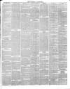 Devizes and Wilts Advertiser Thursday 28 January 1875 Page 3
