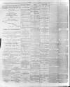 Donegal Vindicator Saturday 06 April 1889 Page 2