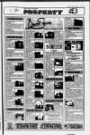 East Kilbride World Friday 11 January 1991 Page 13