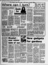 South Wales Echo Saturday 15 January 1983 Page 19