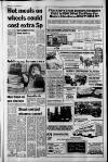 South Wales Echo Friday 15 January 1988 Page 17