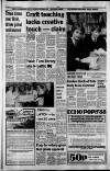 South Wales Echo Friday 29 January 1988 Page 19