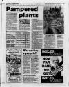 South Wales Echo Saturday 06 January 1990 Page 19