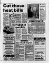South Wales Echo Saturday 13 January 1990 Page 15