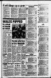 South Wales Echo Thursday 19 April 1990 Page 37