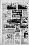 South Wales Echo Friday 29 March 1991 Page 11