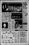 South Wales Echo Monday 10 February 1992 Page 15