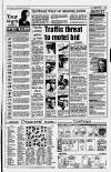 South Wales Echo Monday 27 July 1992 Page 13
