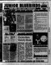 South Wales Echo Wednesday 06 January 1993 Page 25