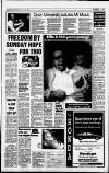 South Wales Echo Thursday 06 May 1993 Page 17