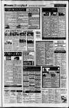 South Wales Echo Thursday 05 August 1993 Page 33