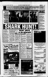 South Wales Echo Wednesday 17 November 1993 Page 11