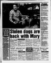 South Wales Echo Tuesday 07 February 1995 Page 15
