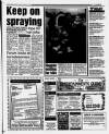 South Wales Echo Tuesday 07 February 1995 Page 19