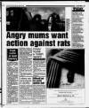 South Wales Echo Monday 24 April 1995 Page 13