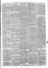 Richmond and Twickenham Times Saturday 21 June 1873 Page 3