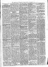 Richmond and Twickenham Times Saturday 08 November 1873 Page 5