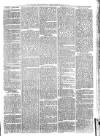 Richmond and Twickenham Times Saturday 04 April 1874 Page 3