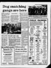 Caernarvon & Denbigh Herald Friday 08 April 1988 Page 5