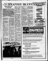 Caernarvon & Denbigh Herald Friday 29 March 1991 Page 39