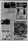 Shepton Mallet Journal Thursday 12 June 1980 Page 13