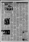 Shepton Mallet Journal Thursday 04 December 1980 Page 19