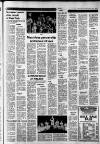 Shepton Mallet Journal Thursday 12 November 1981 Page 17