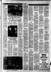 Shepton Mallet Journal Thursday 10 December 1981 Page 17