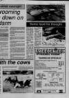 Shepton Mallet Journal Thursday 01 September 1988 Page 33