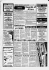 Shepton Mallet Journal Thursday 19 January 1989 Page 31