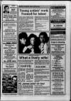 Shepton Mallet Journal Thursday 18 January 1990 Page 31