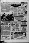 Shepton Mallet Journal Thursday 12 April 1990 Page 39