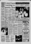Shepton Mallet Journal Thursday 01 November 1990 Page 13