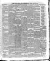 Kerry Reporter Saturday 10 March 1883 Page 3