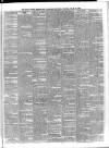 Kerry Reporter Saturday 14 March 1885 Page 3