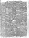 Kerry Reporter Saturday 20 June 1885 Page 3