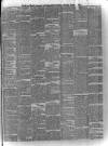 Kerry Reporter Saturday 06 March 1886 Page 3