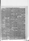 Kerry Reporter Saturday 28 April 1888 Page 5